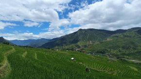 Sapa terraces